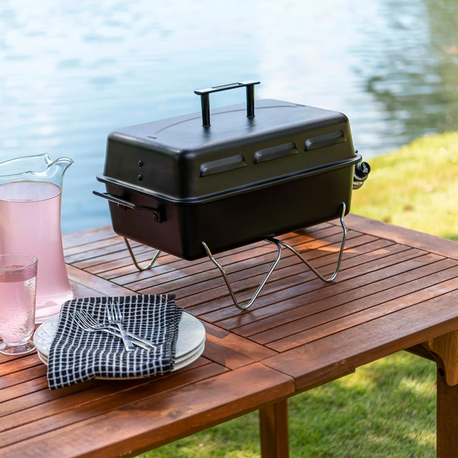 Portable Convective 1-Burner Stainless Steel Propane Gas Grill