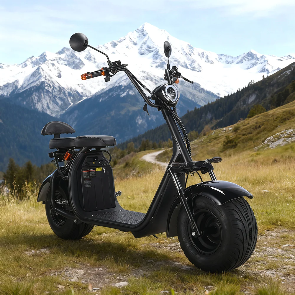 3000W 60V 12Ah Electric Scooter Off Road With Brushless Motor �C Retro Style, Dual Seat, Hydraulic Disc Brakes
