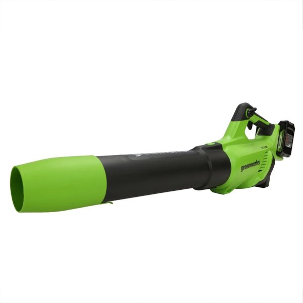 48V Axial Blower with 2 (24V) 2 Ah USB Batteries